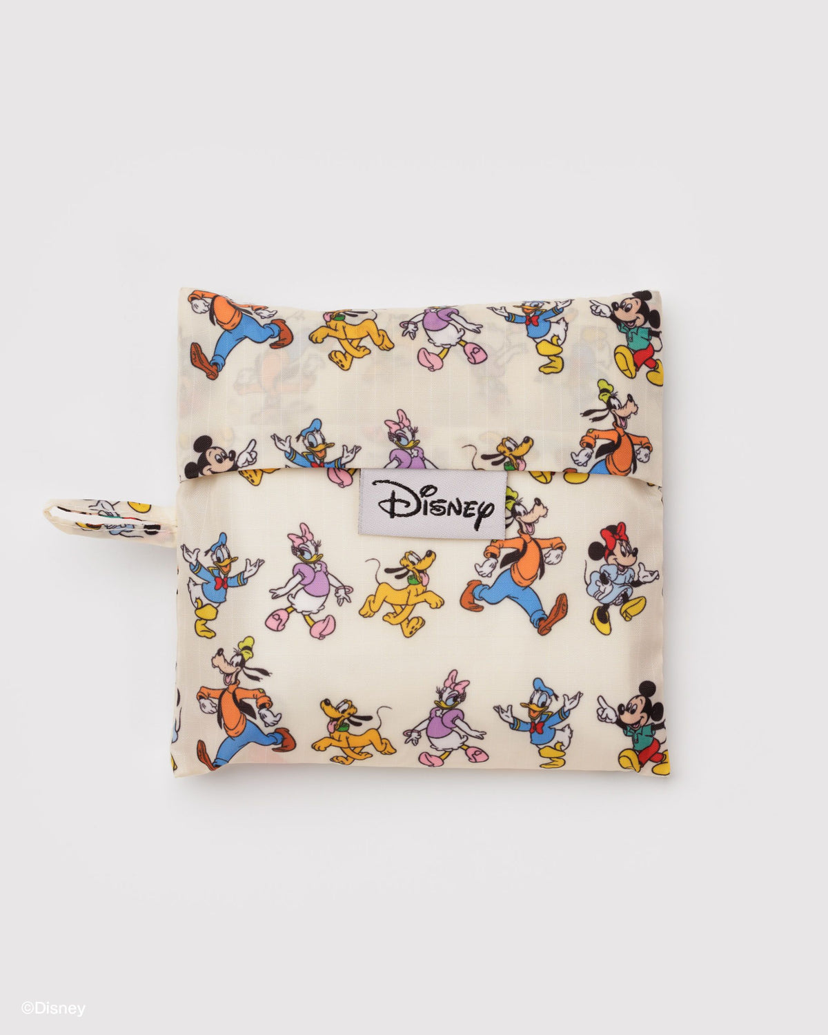 STANDARD BAGGU - US 2024