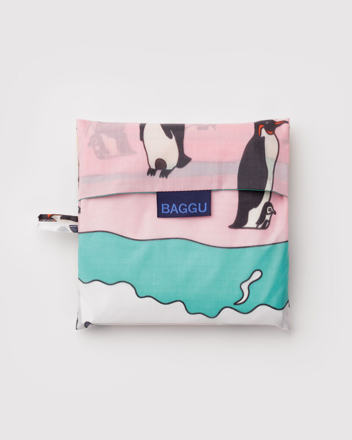 BIG BAGGU - US 6623