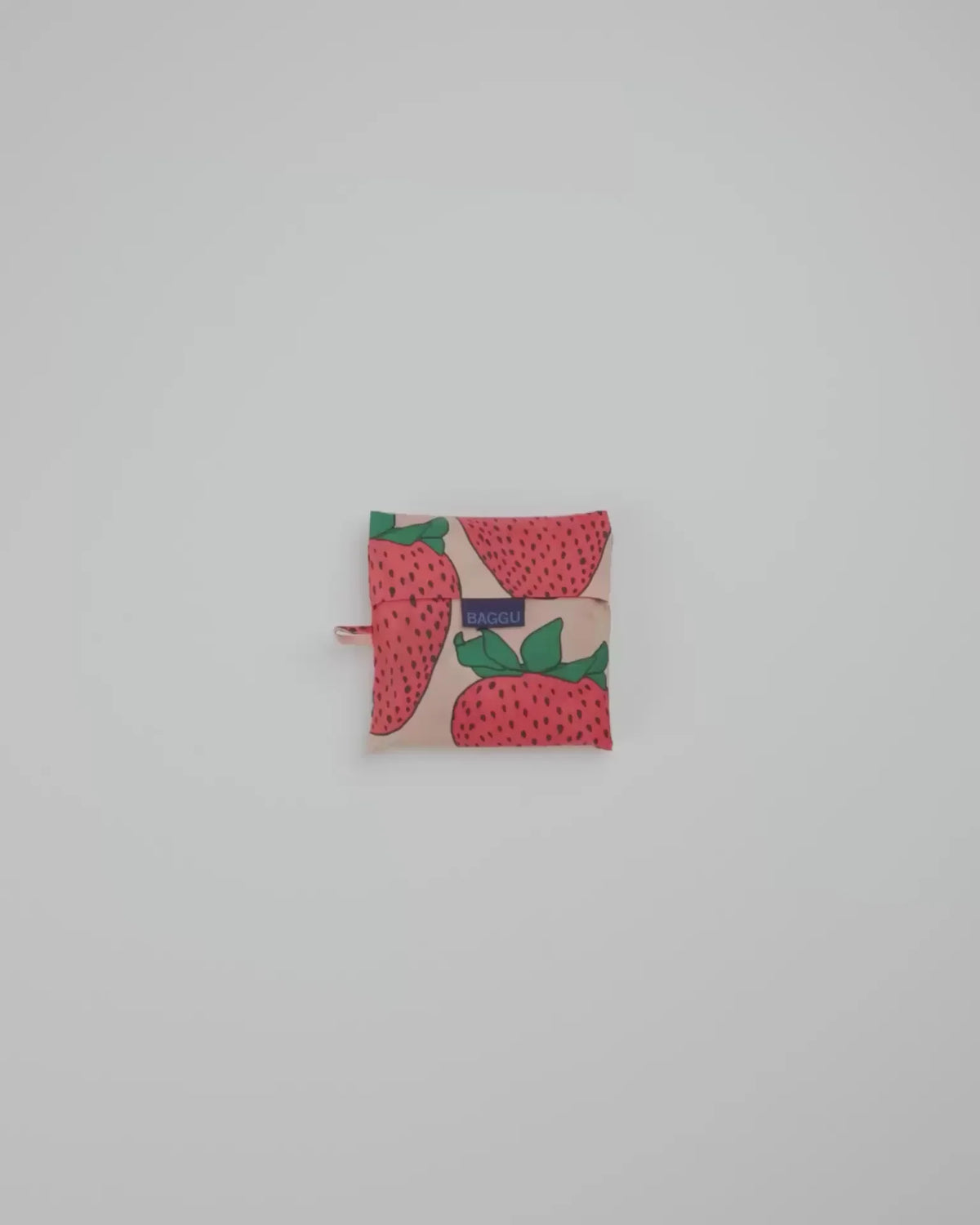 BIG BAGGU - US 3651