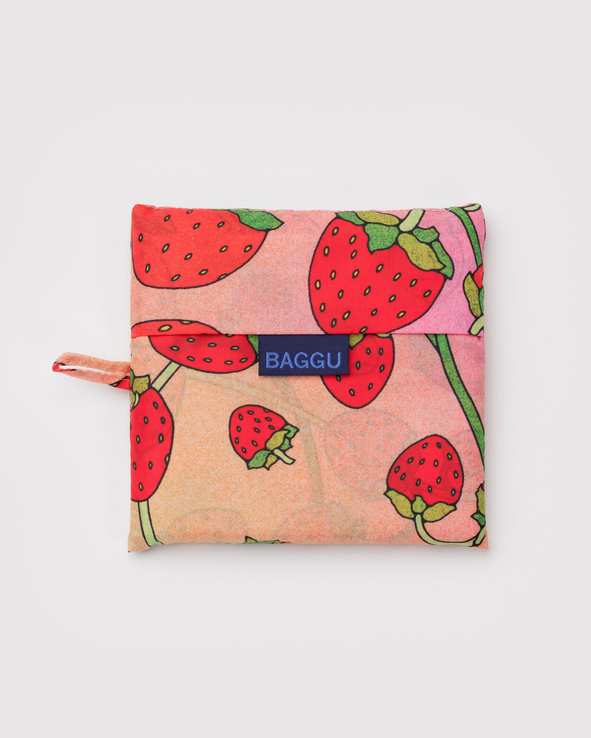 BIG BAGGU - US 9251