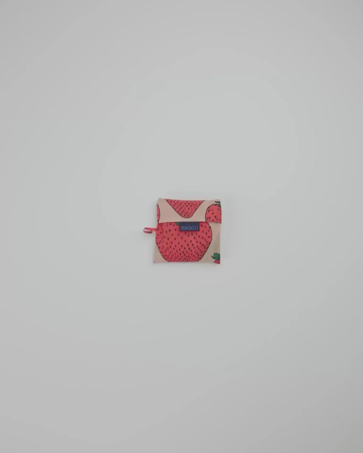 STANDARD BAGGU - US 1799